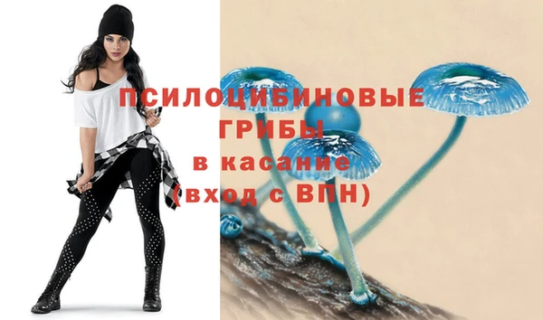 молекула духа Волосово