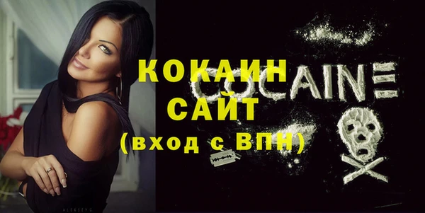 дживик Вязьма