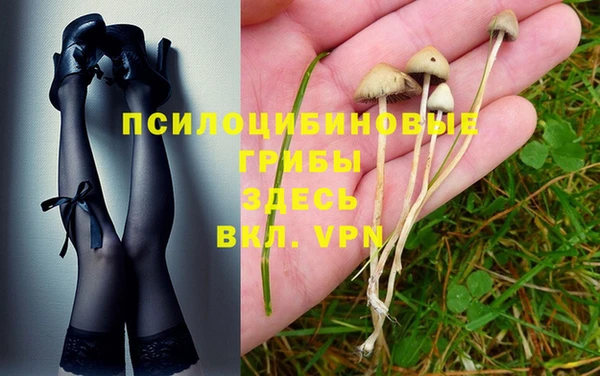 дживик Вязьма