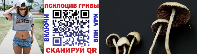 Псилоцибиновые грибы Magic Shrooms  Серпухов 