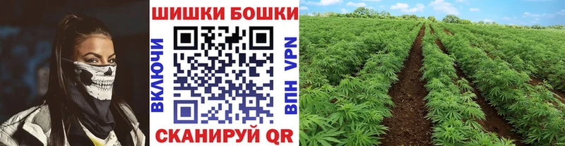 гидра вход  Серпухов  Конопля сатива  наркошоп 